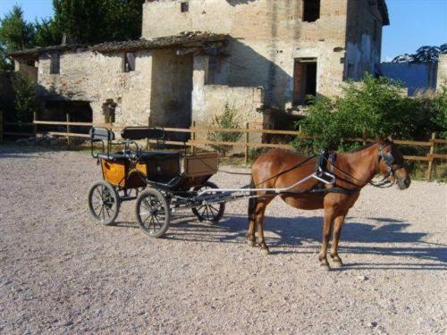 Assisi Garden Otel Dış mekan fotoğraf