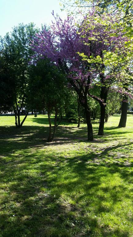 Assisi Garden Otel Dış mekan fotoğraf